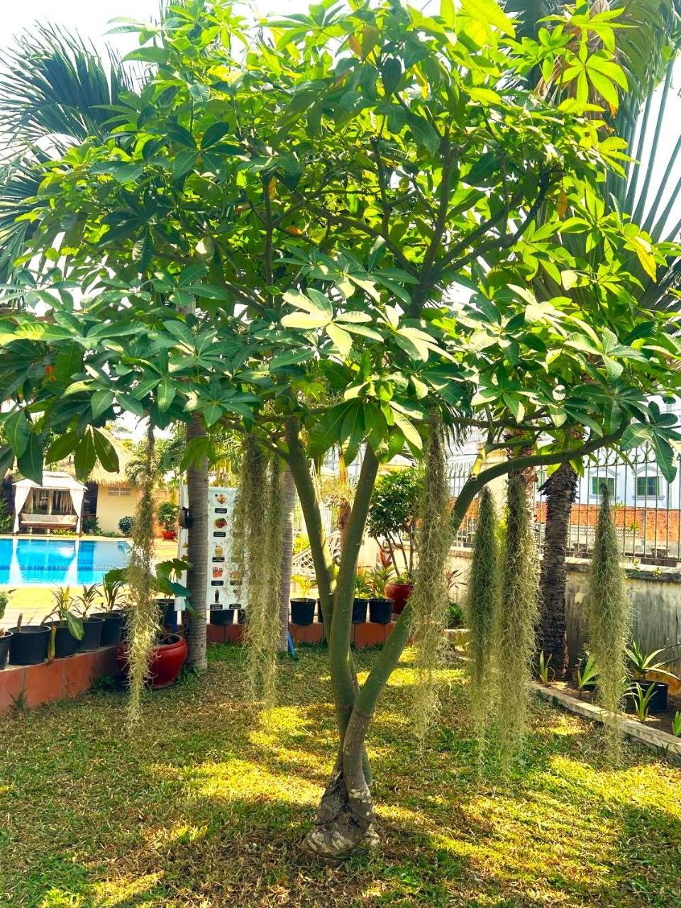Riviera Hotel & Resort קפ מראה חיצוני תמונה